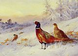 Archibald Thorburn Famous Paintings - Frosty Sunrise